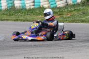 20110501_ales_agnus (2156)